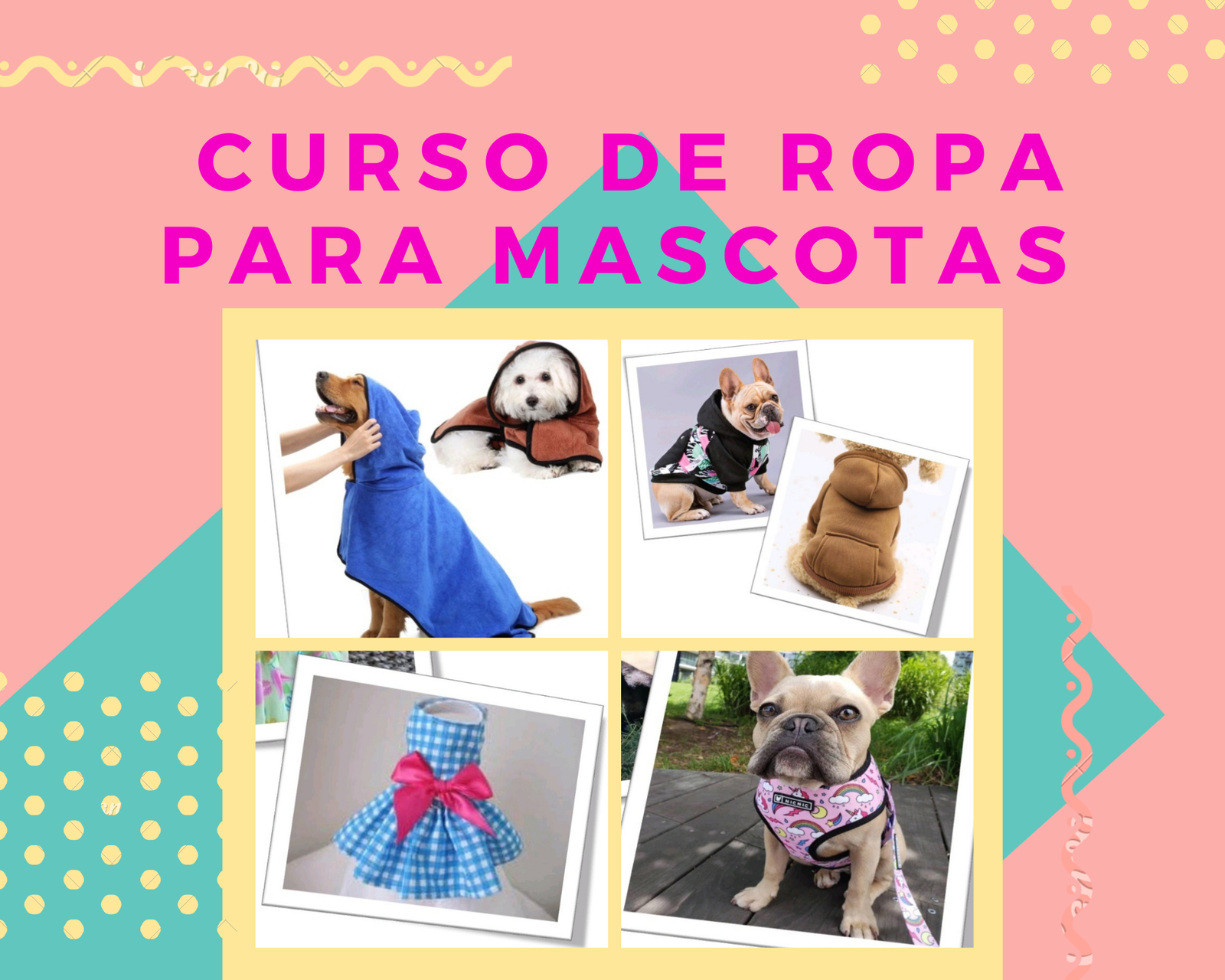 Confección de Ropa para Perros